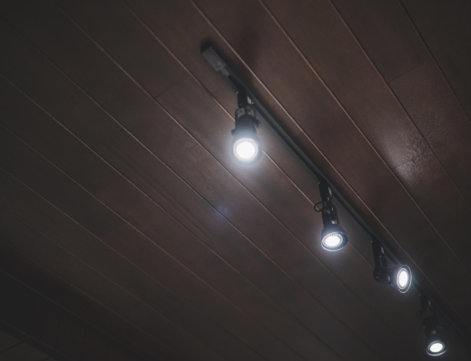 light 5635016 (1)